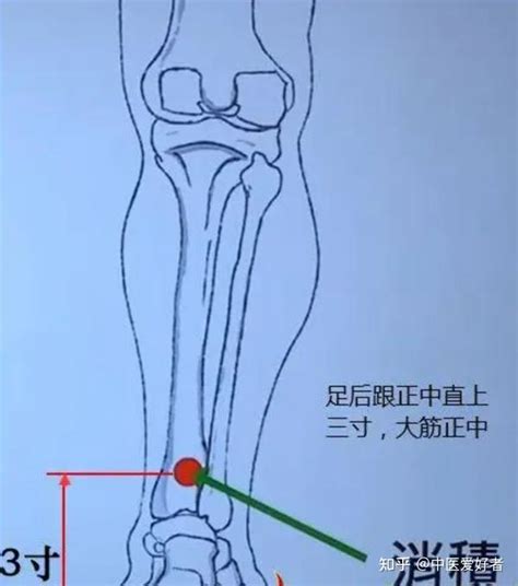 消積穴|腑快穴 